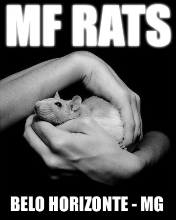 Matheus- MF Rats